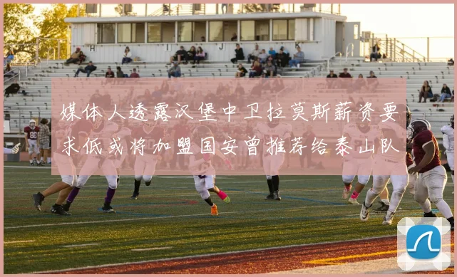 媒体人透露汉堡中卫拉莫斯薪资要求低或将加盟国安曾推荐给泰山队