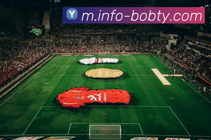 BOB体育平台生态图