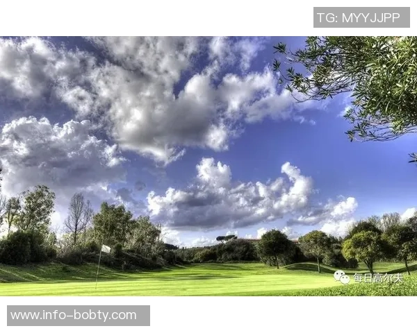 科威特支付350万欧元成功获得法国超级杯承办权